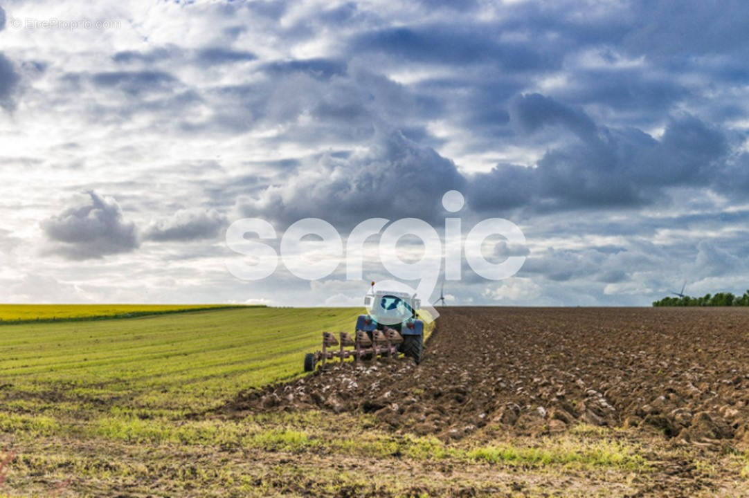 Terrain à BEAUPREAU