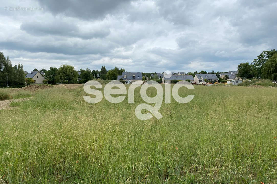 Terrain à SEICHES-SUR-LE-LOIR