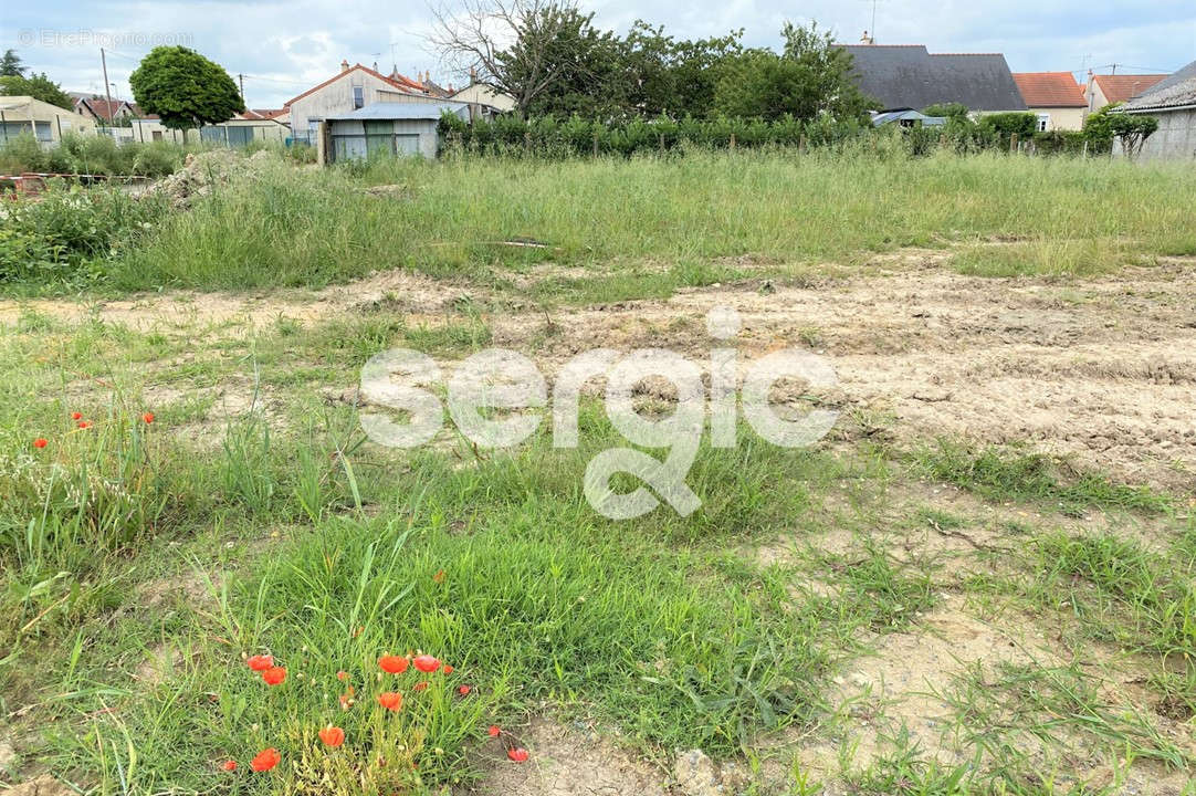 Terrain à SEICHES-SUR-LE-LOIR