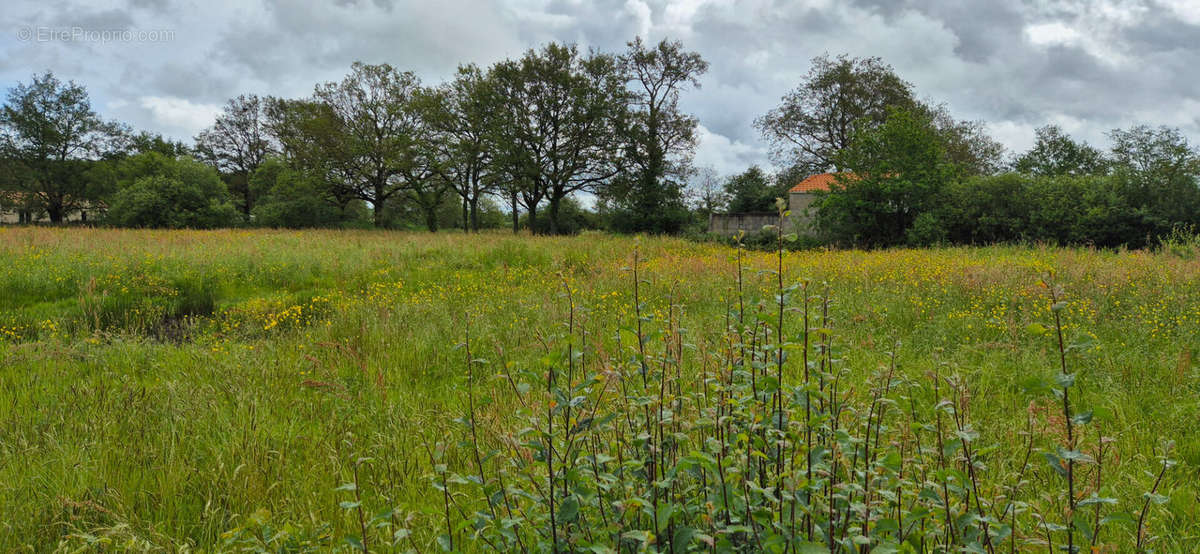 Terrain à SAINT-ETIENNE-DE-MER-MORTE