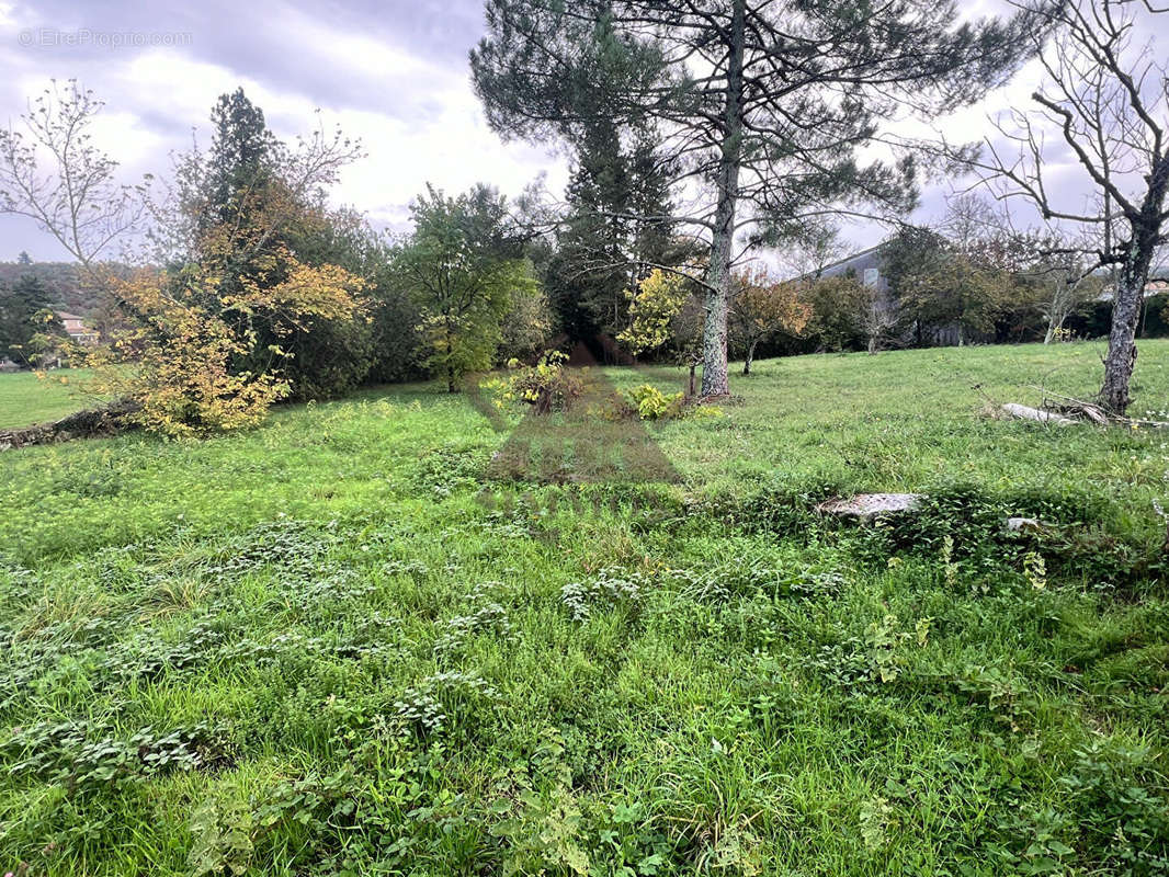 Terrain à SAINT-PAUL-LE-JEUNE