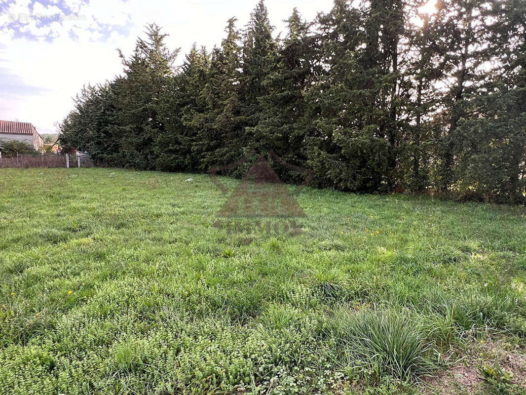 Terrain à ALLEGRE-LES-FUMADES