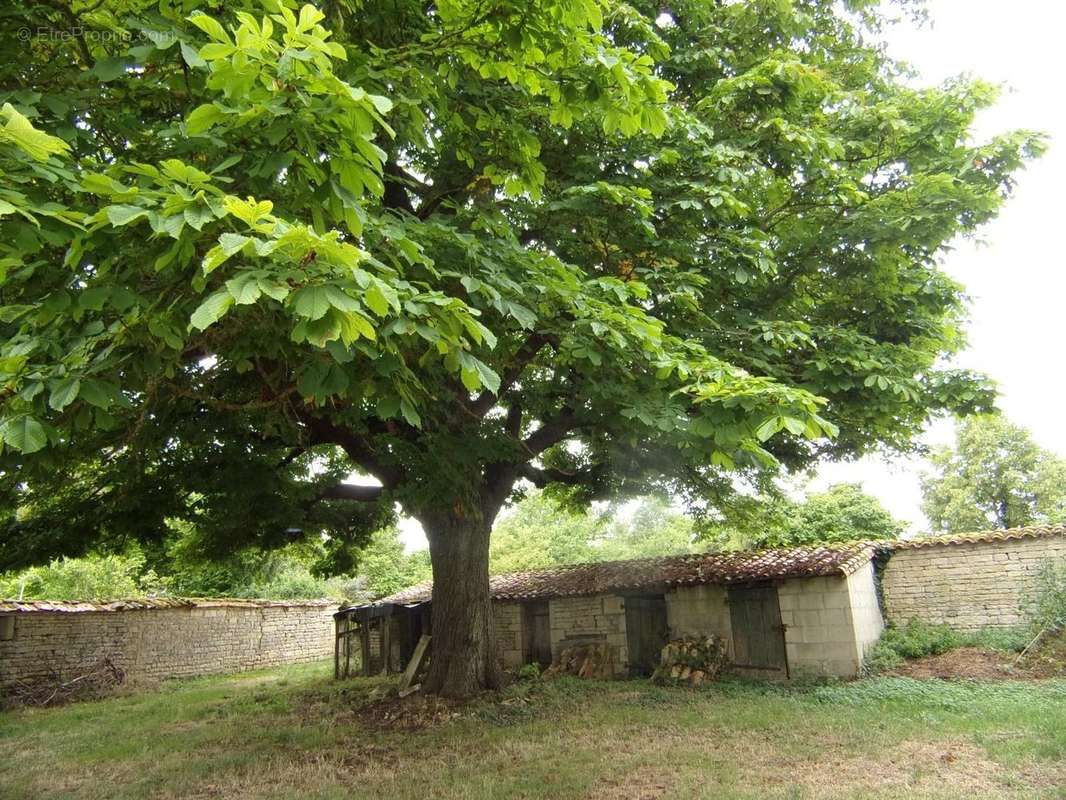 Maison à CHEF-BOUTONNE