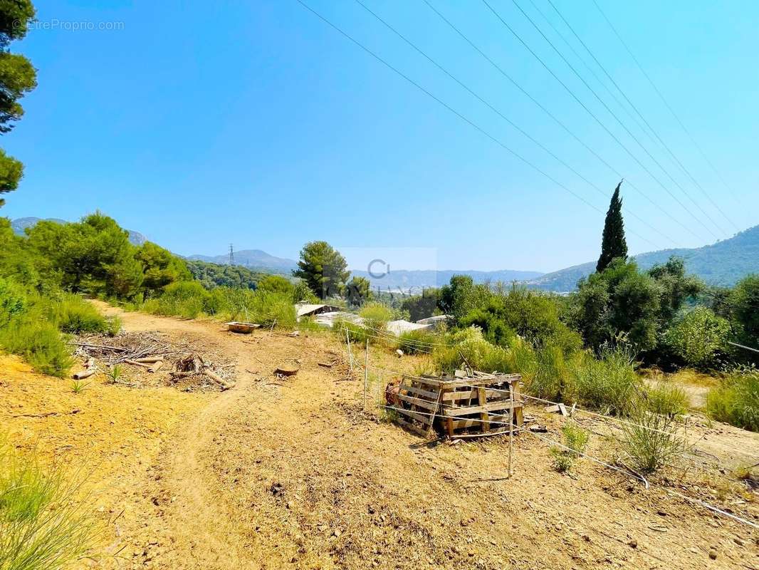 Terrain à SAINT-MARTIN-DU-VAR