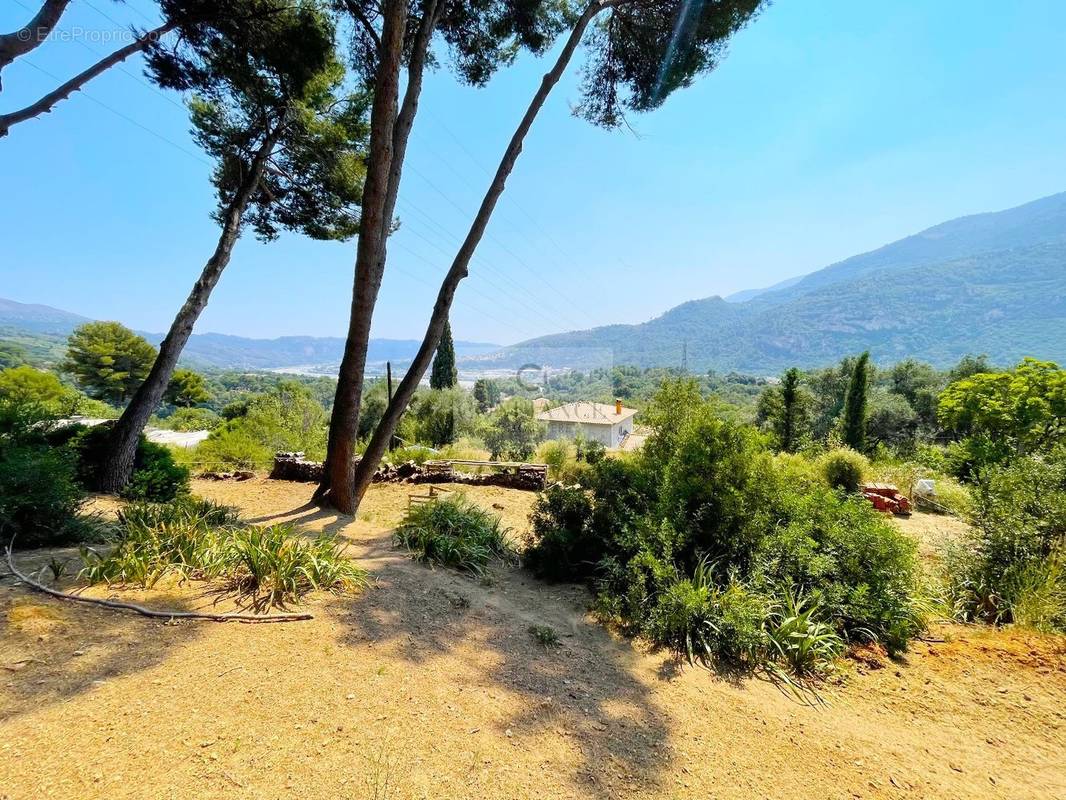 Terrain à SAINT-MARTIN-DU-VAR