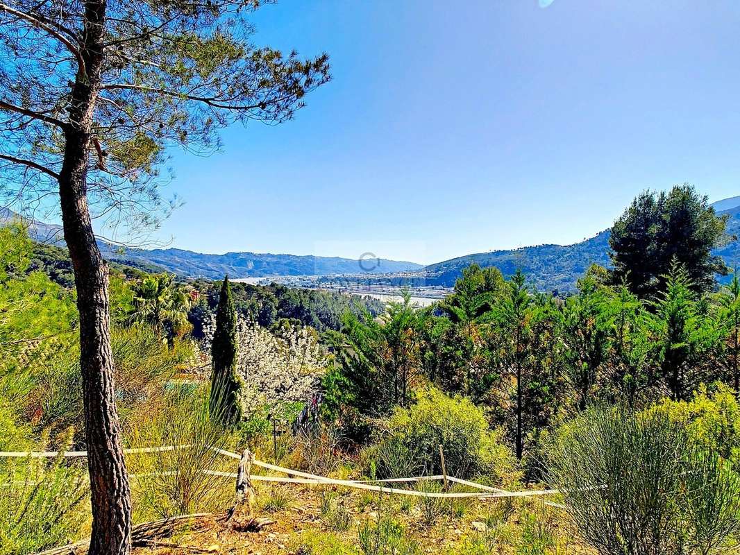 Terrain à SAINT-MARTIN-DU-VAR