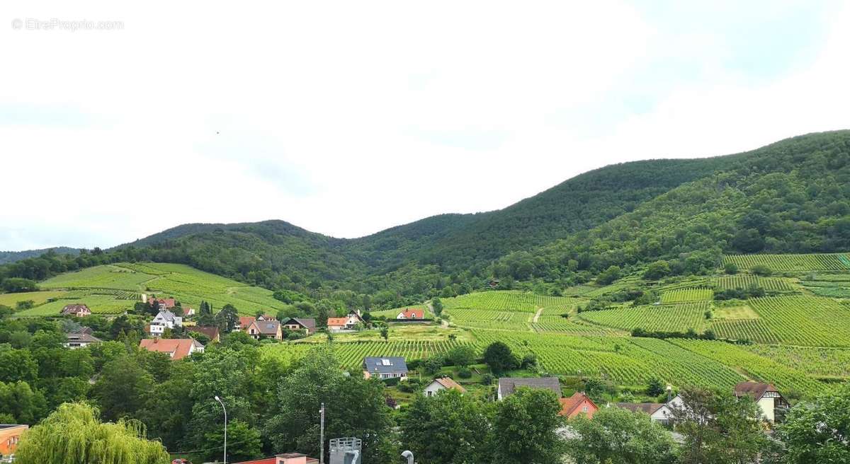 Appartement à KAYSERSBERG