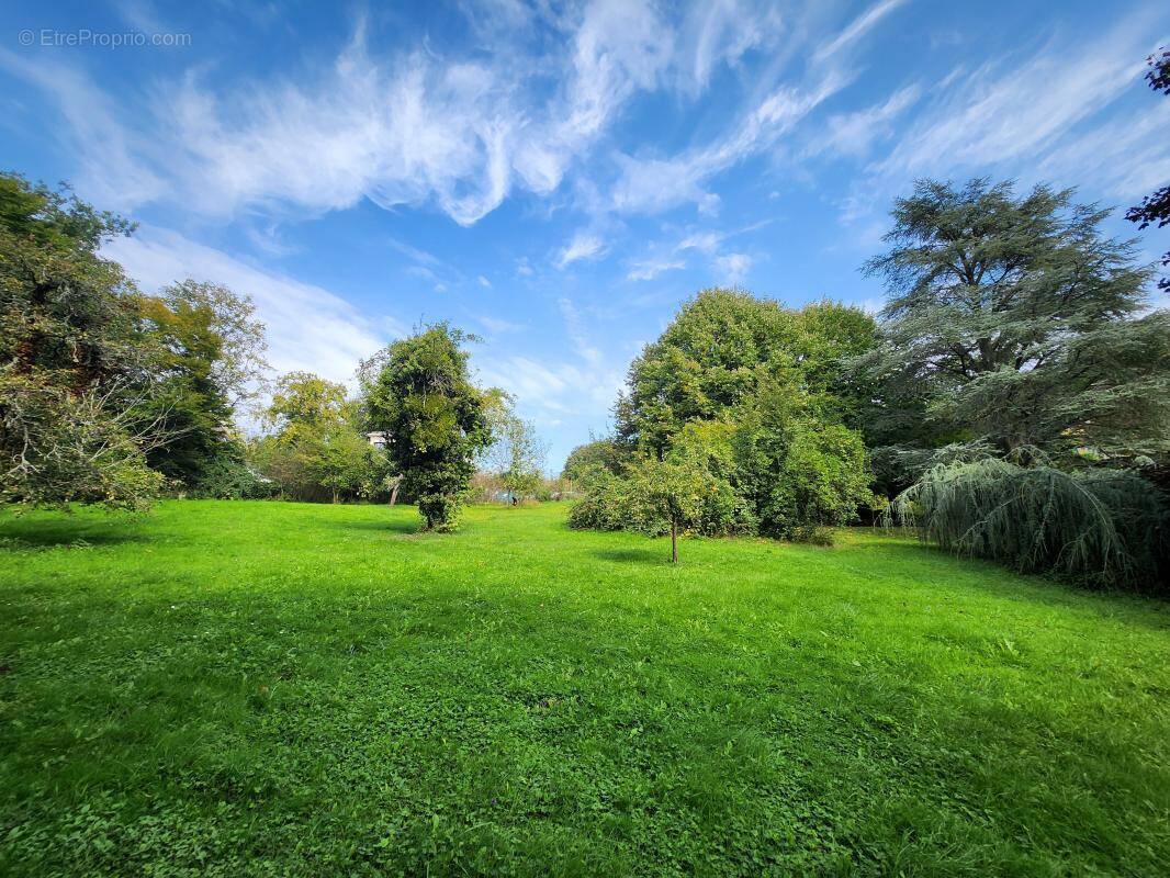 Terrain à CHEVREUSE