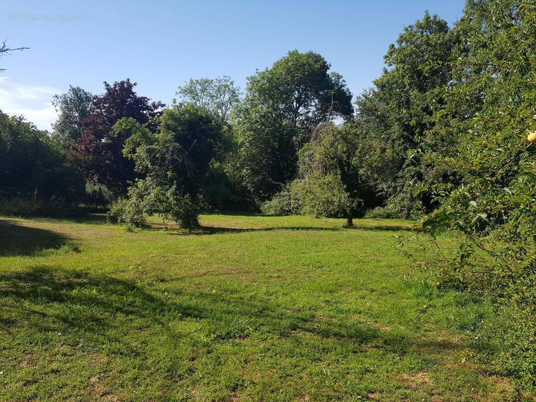 Terrain à CHEVREUSE