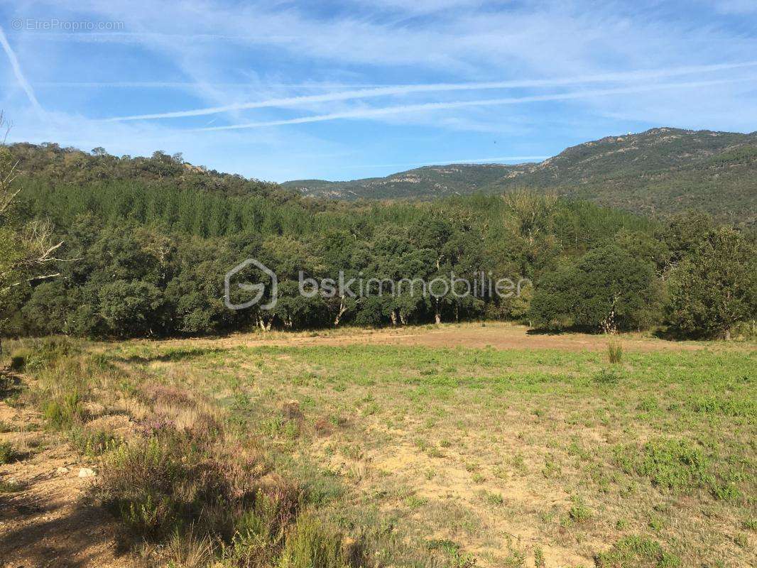 Terrain à BORMES-LES-MIMOSAS