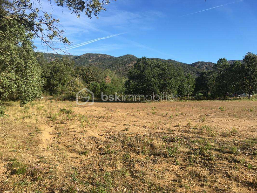 Terrain à BORMES-LES-MIMOSAS