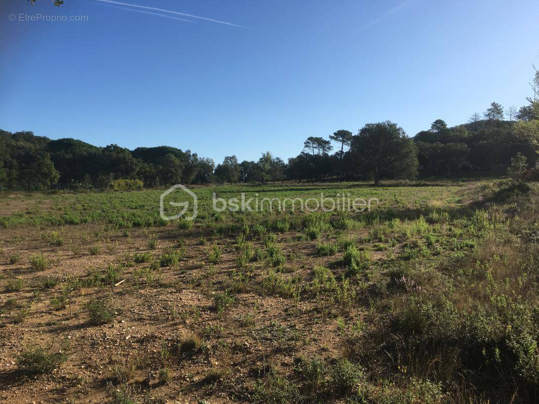 Terrain à BORMES-LES-MIMOSAS