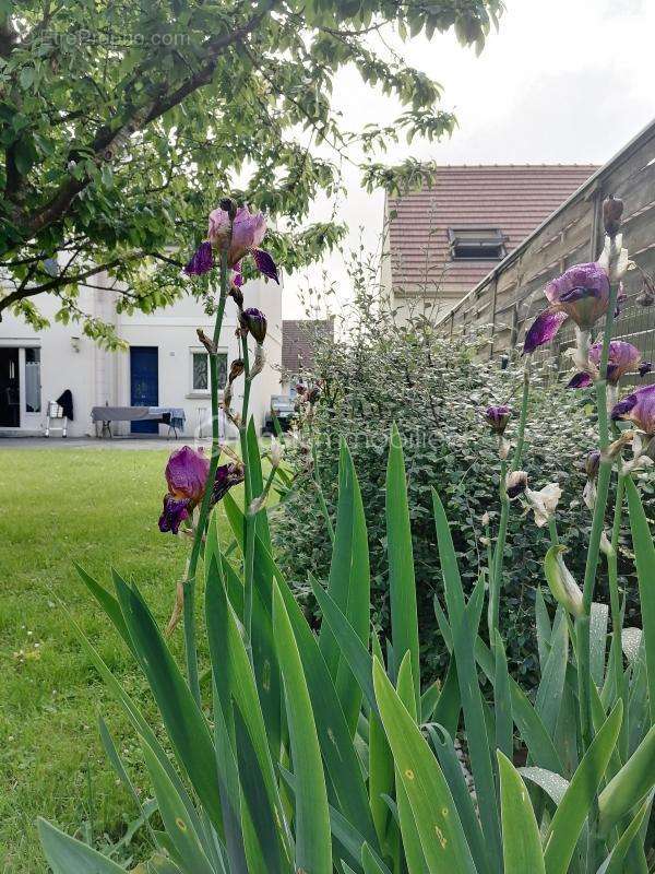 Maison à SAINT-PATHUS