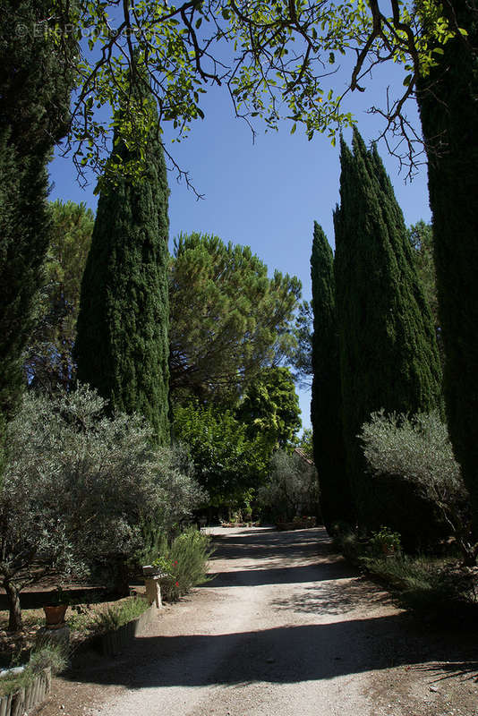 Maison à SAINT-REMY-DE-PROVENCE