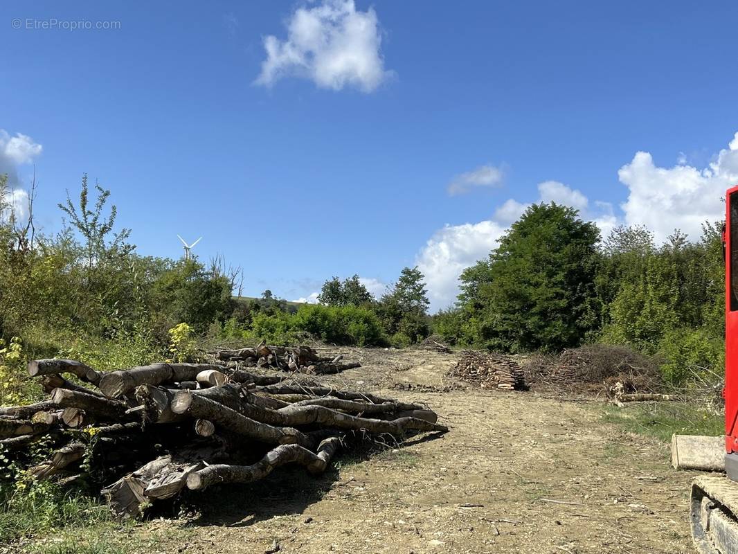 Terrain à GROSBLIEDERSTROFF