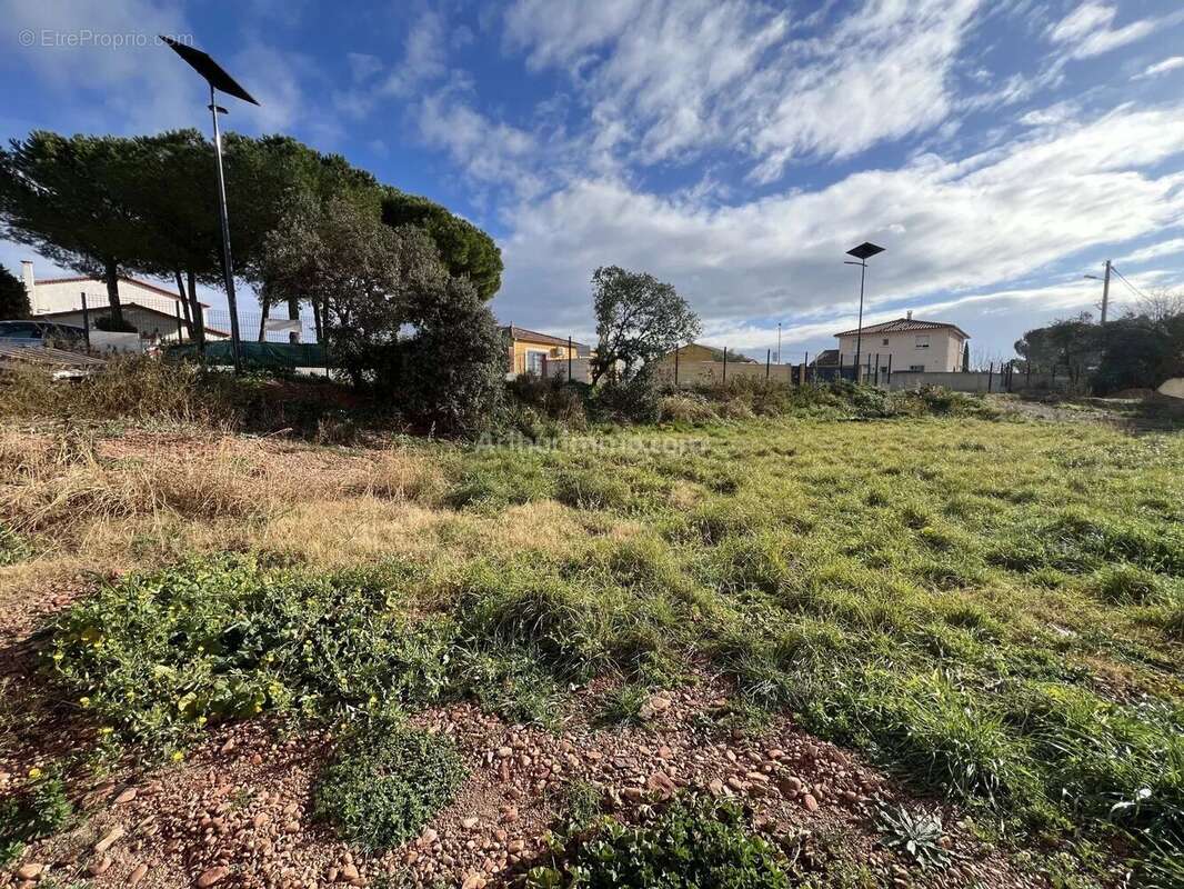 Terrain à CANET