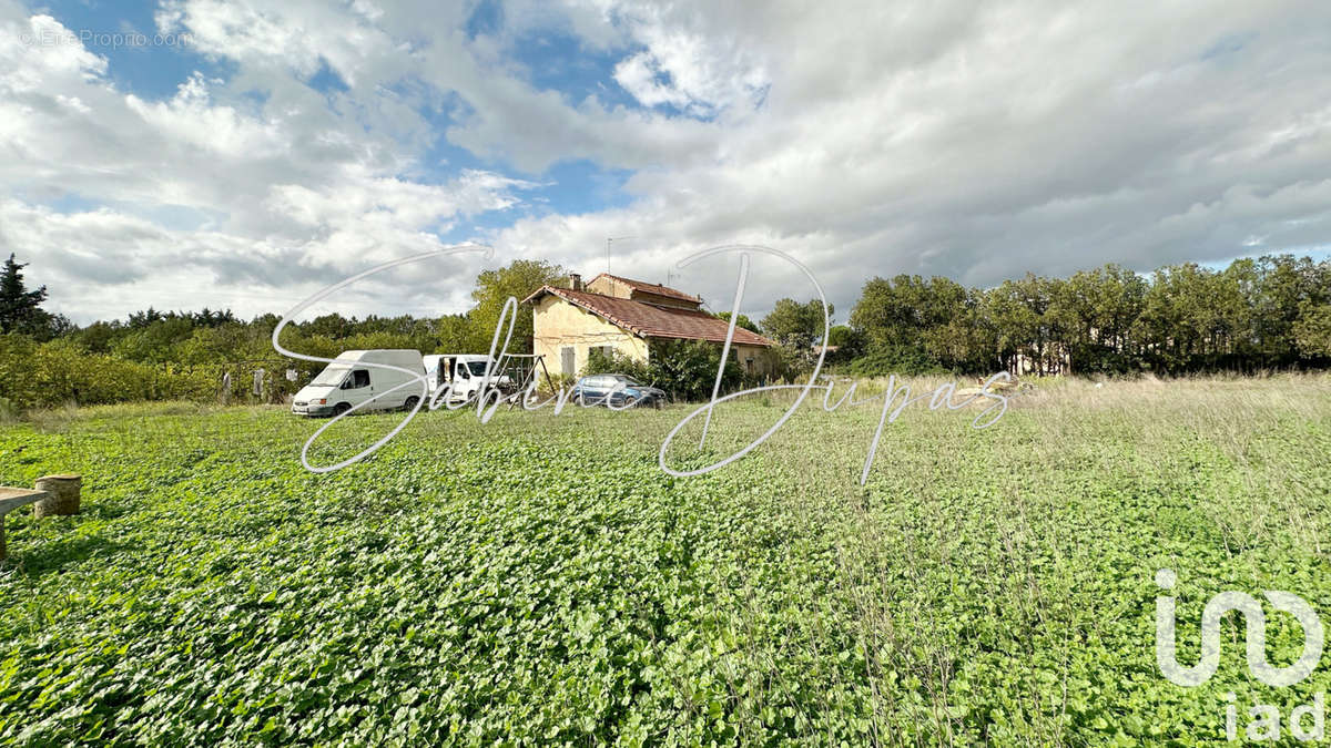 Photo 3 - Maison à L&#039;ISLE-SUR-LA-SORGUE