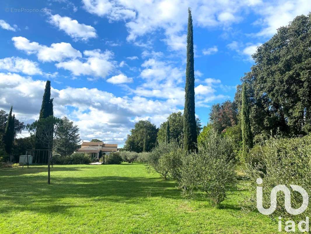 Photo 4 - Maison à L&#039;ISLE-SUR-LA-SORGUE