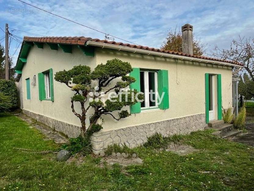 Maison à MESCHERS-SUR-GIRONDE