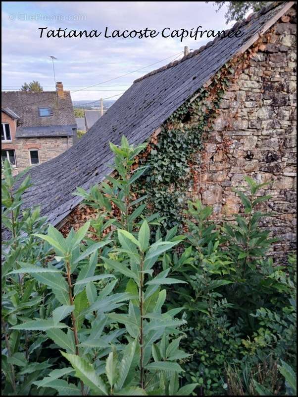 Maison à MESSAC