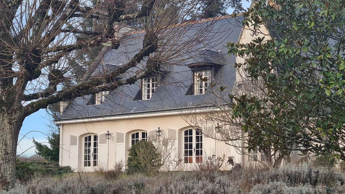 Maison à CHINON