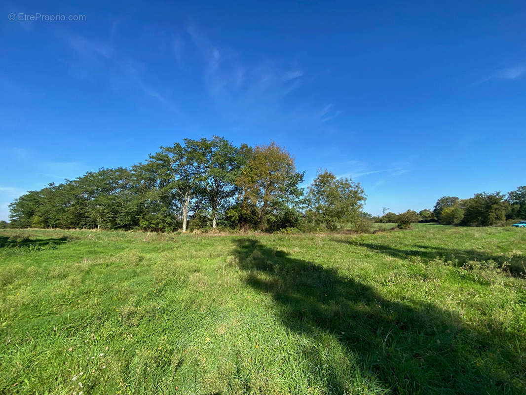 Terrain à MONTAIGU