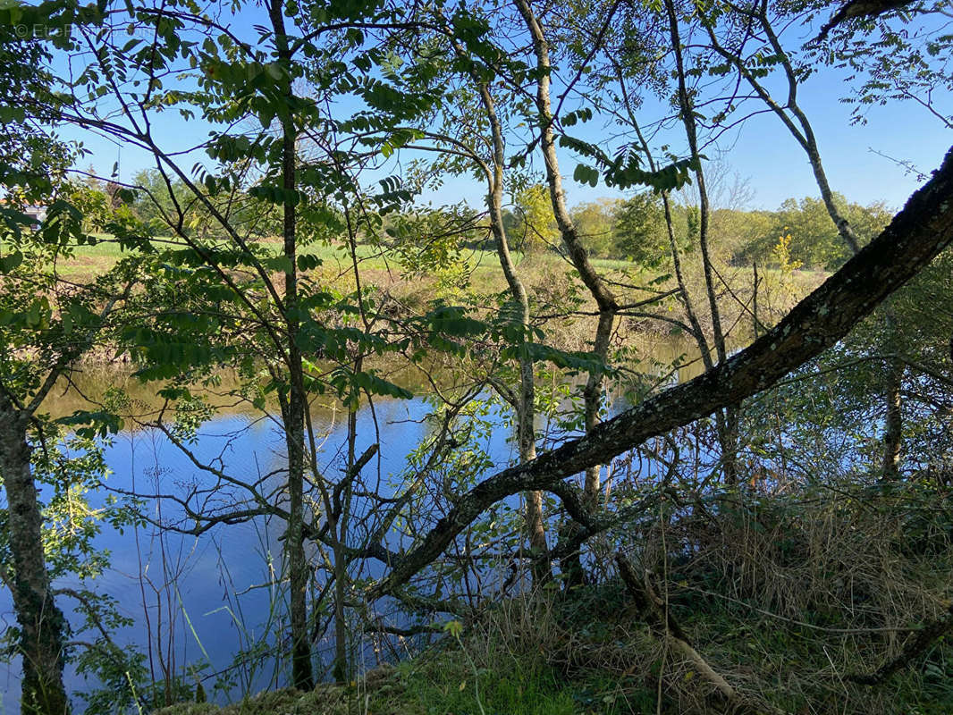 Terrain à MONTAIGU