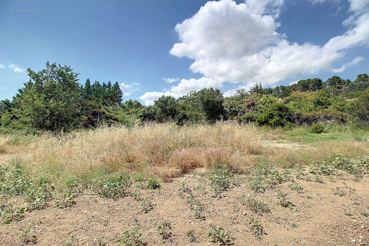 Terrain à LORGUES