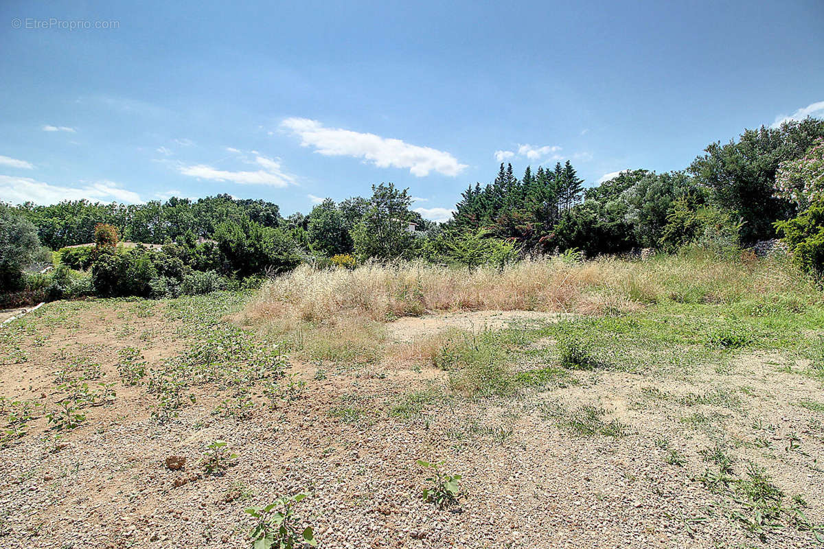 Terrain à LORGUES