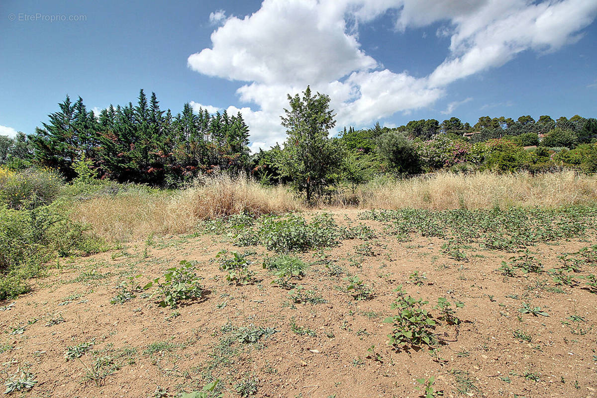 Terrain à LORGUES