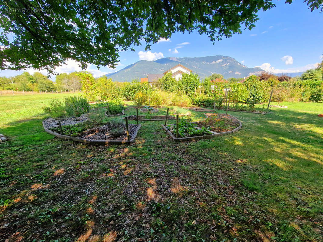 Terrain à CEYZERIEU