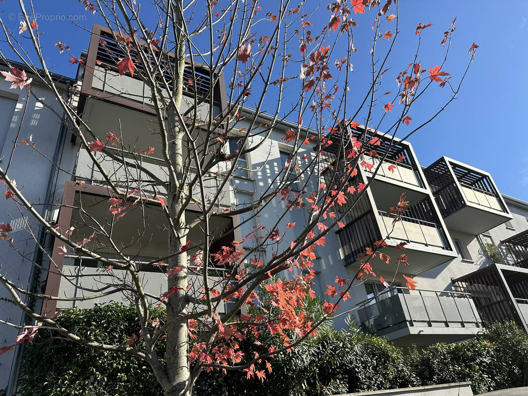 Appartement à QUINT-FONSEGRIVES