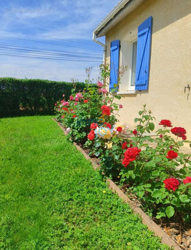 Maison à LA SALVETAT-SAINT-GILLES