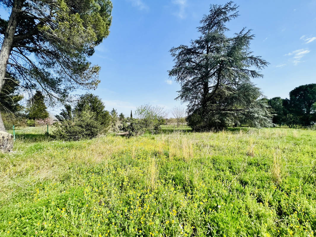 Maison à CLERMONT-L&#039;HERAULT