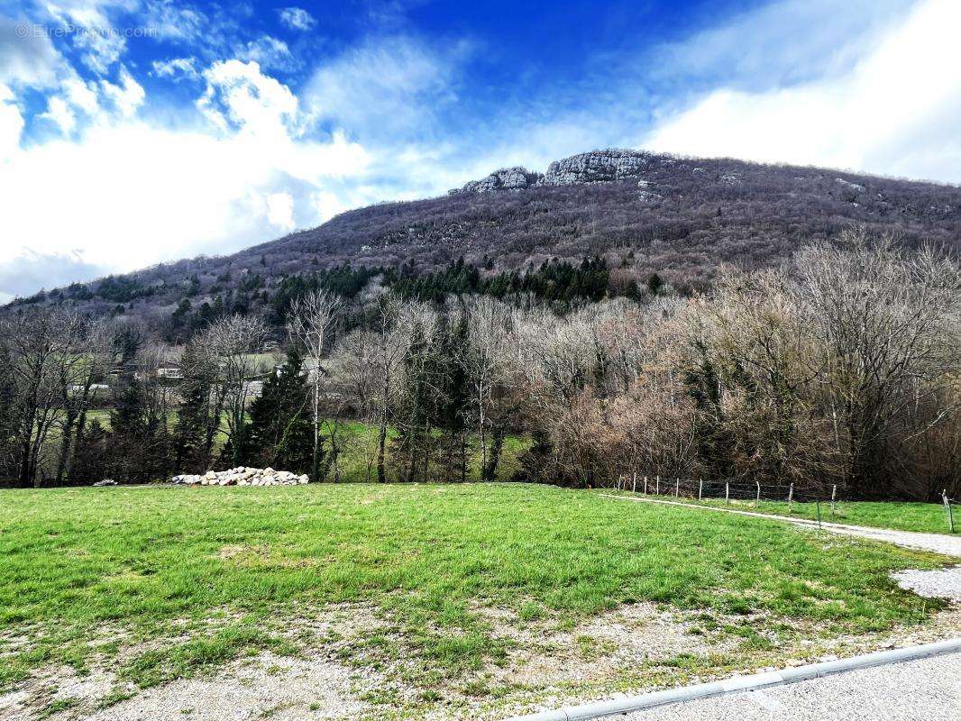 Terrain à POMMIERS-LA-PLACETTE