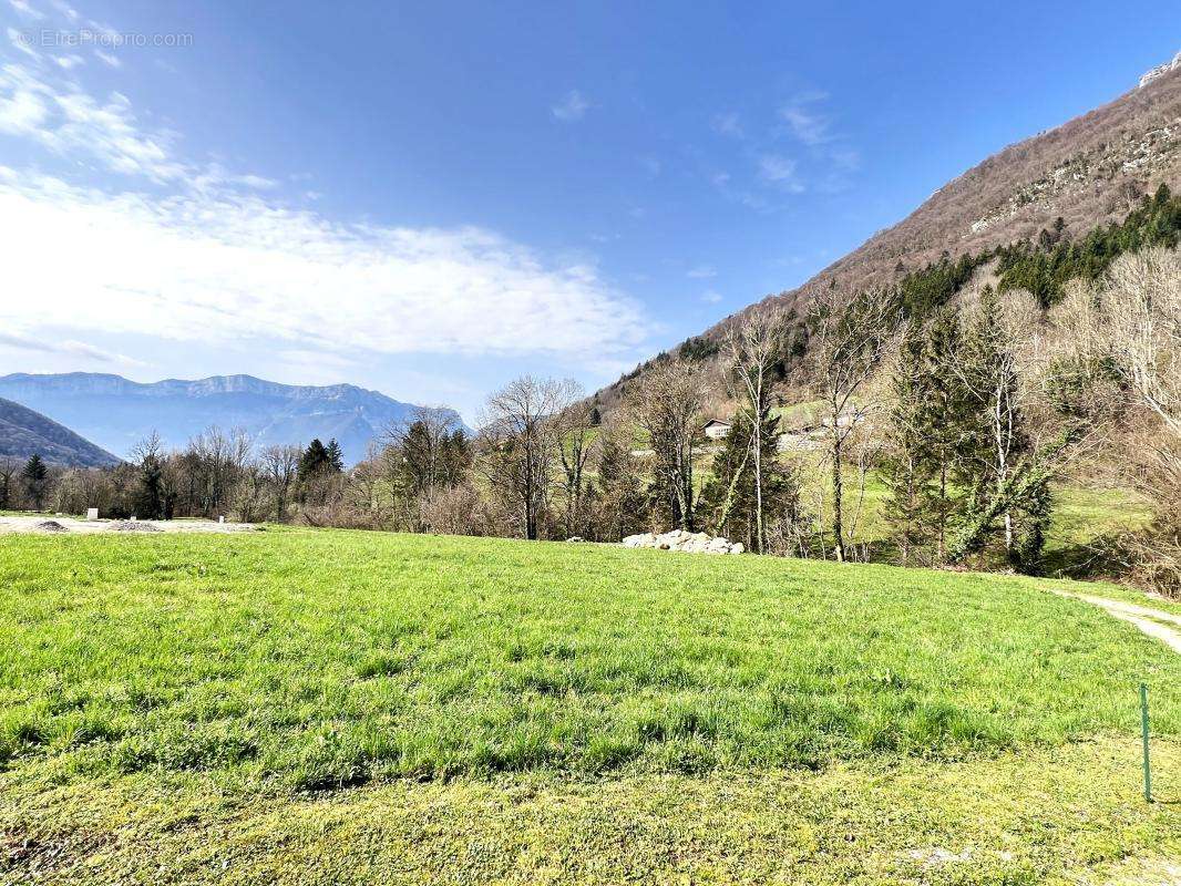 Terrain à POMMIERS-LA-PLACETTE