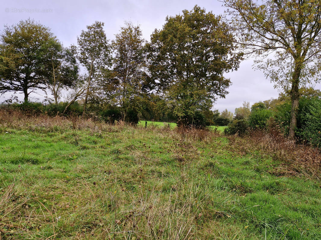 Terrain à THORIGNE-D&#039;ANJOU