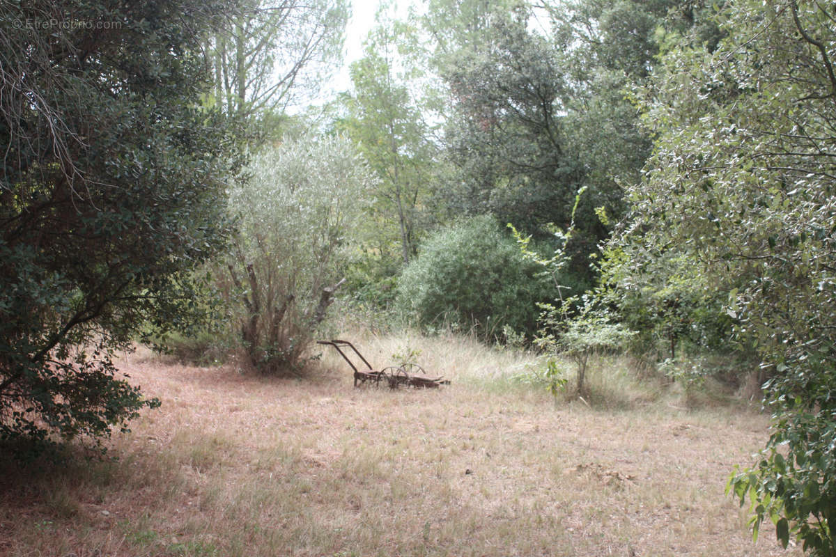 Maison à ARGENS-MINERVOIS