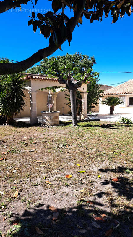 Maison à AIGUES-MORTES