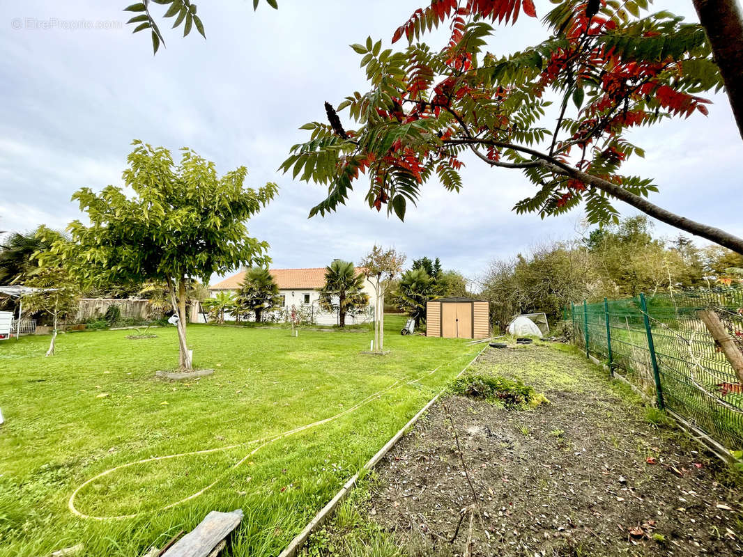 Maison à SAINT-AIGNAN-GRANDLIEU