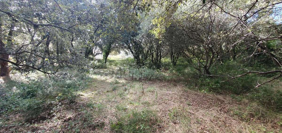 Terrain à UZES