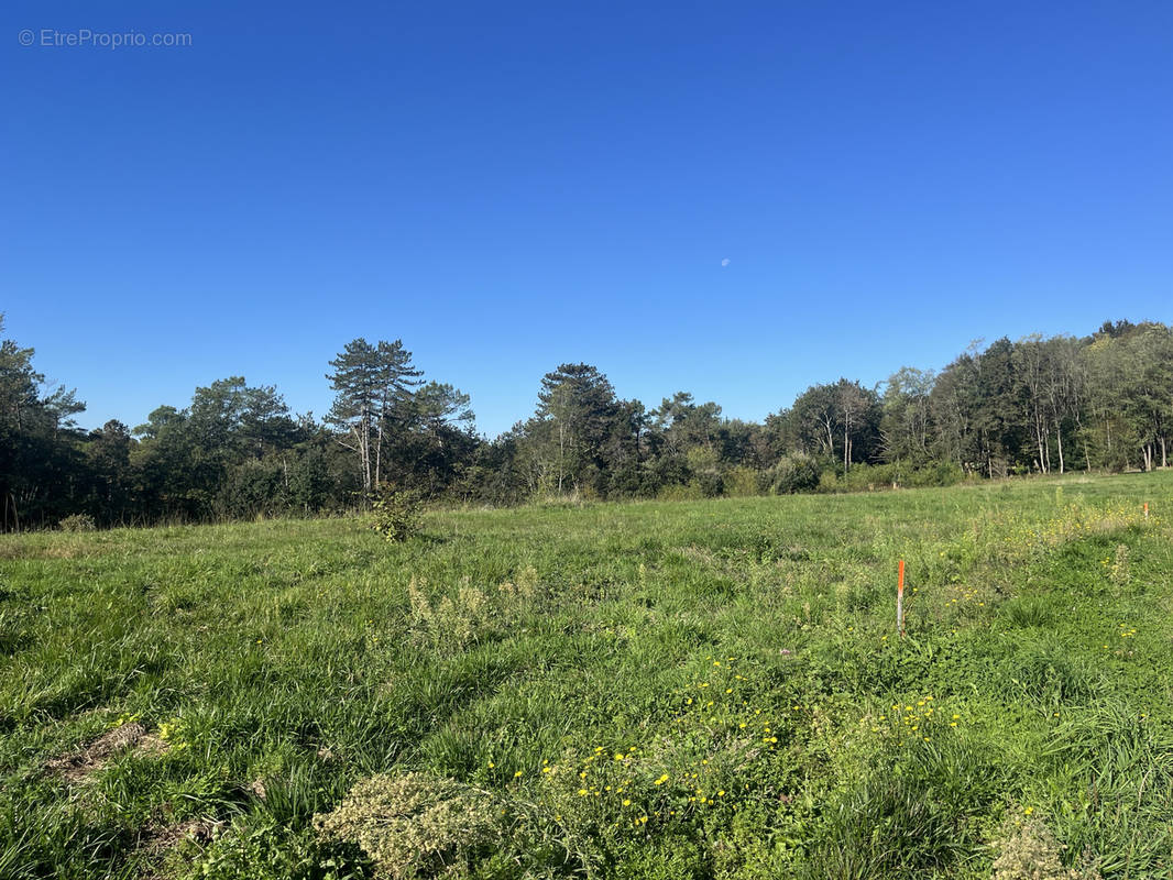 Terrain à SARLAT-LA-CANEDA