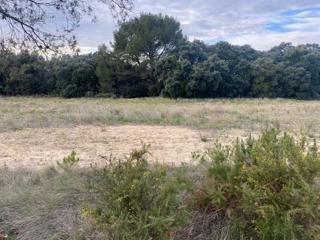 Terrain à LANCON-PROVENCE