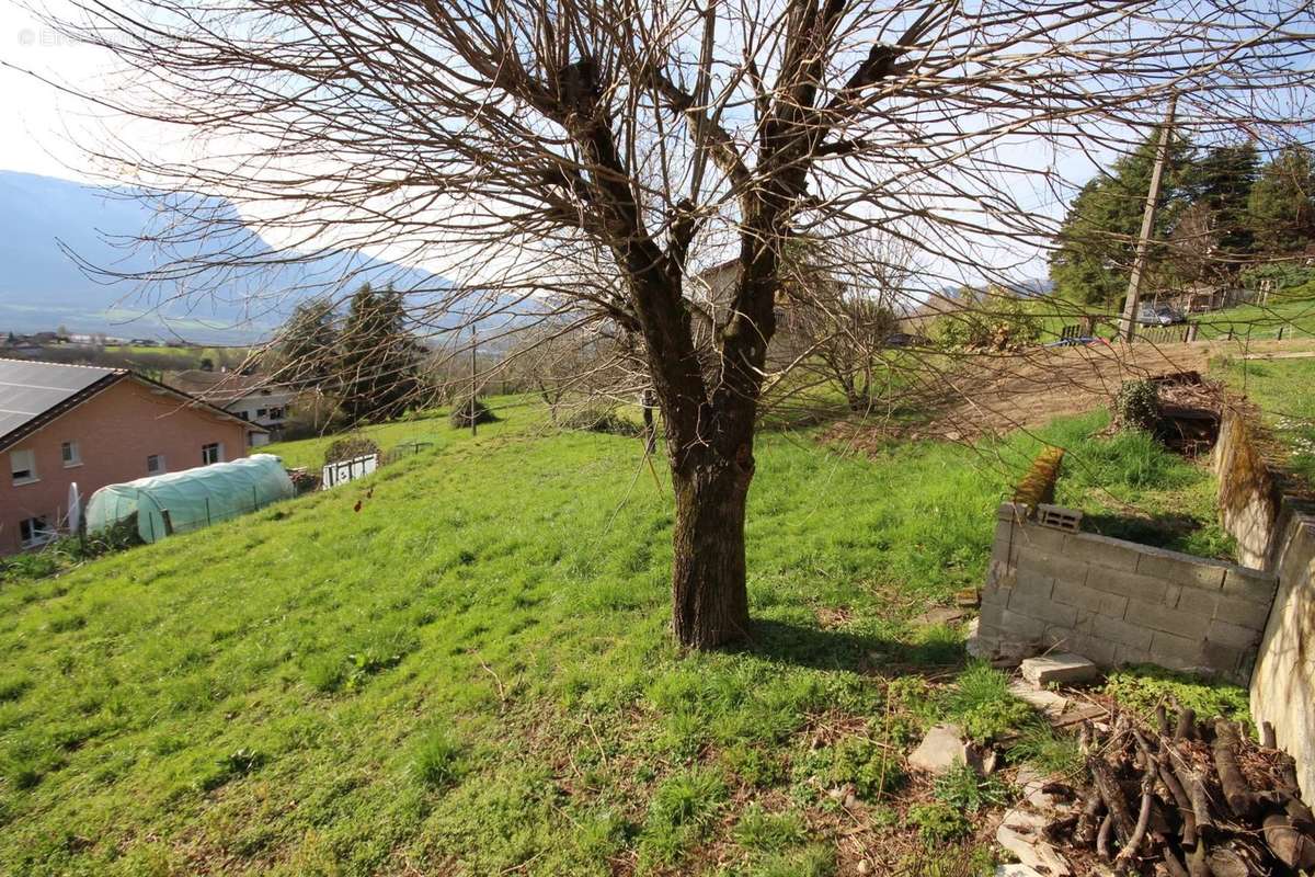 Terrain à LA CHAPELLE-BLANCHE