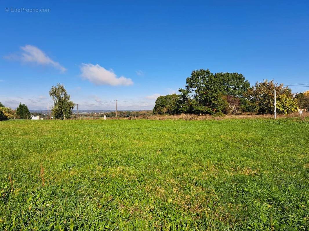 Terrain à BAZAS