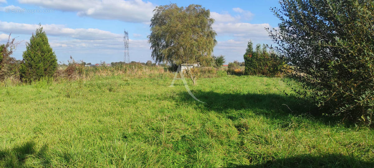 Terrain à SAINT-PIERRE-BROUCK