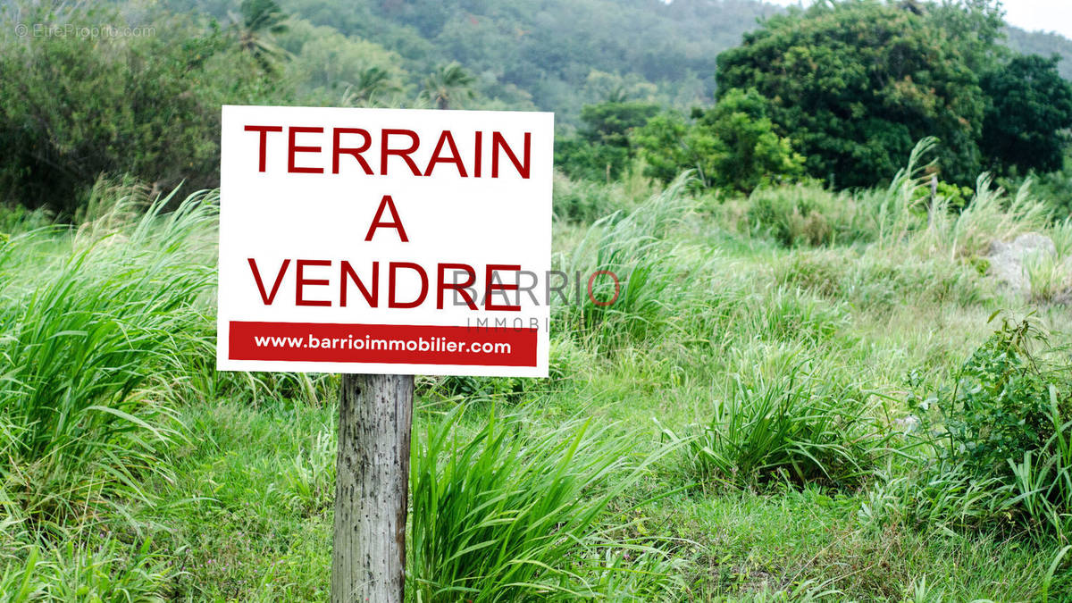 Terrain à SAINTE-MARIE