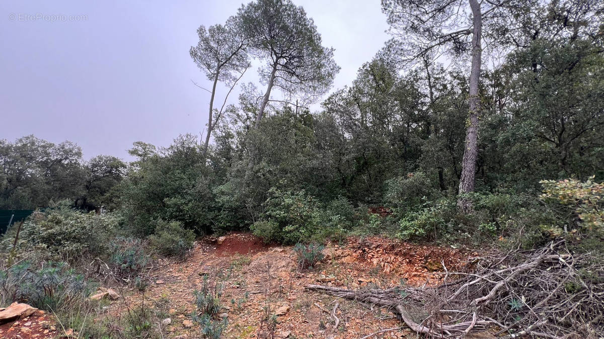 Terrain à GAREOULT