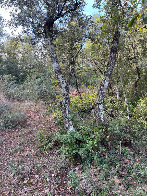 Terrain à GAREOULT