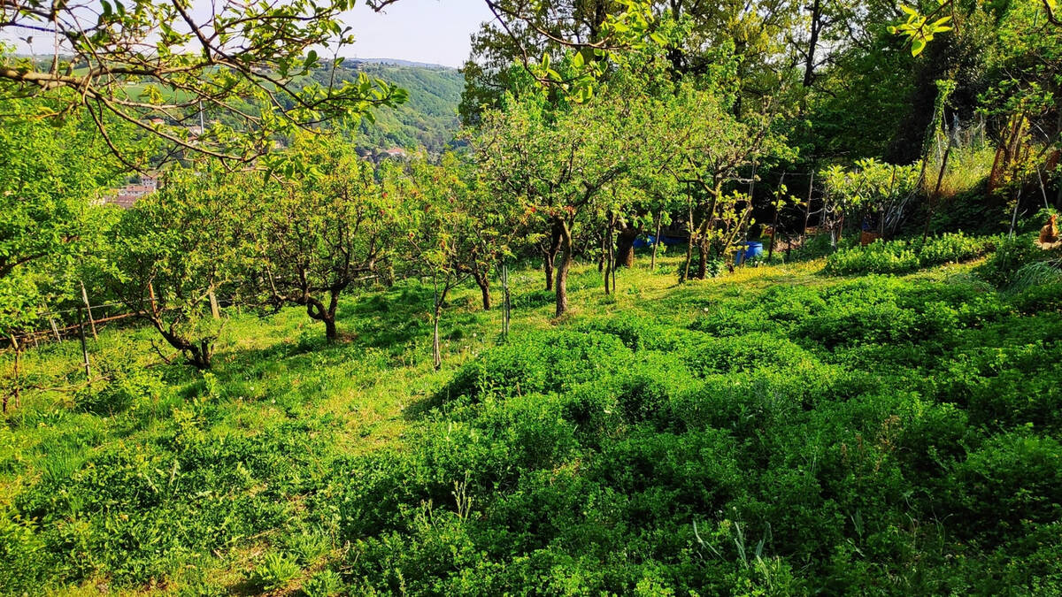 Terrain à GIVORS